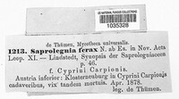 Image Associated With the Occurence